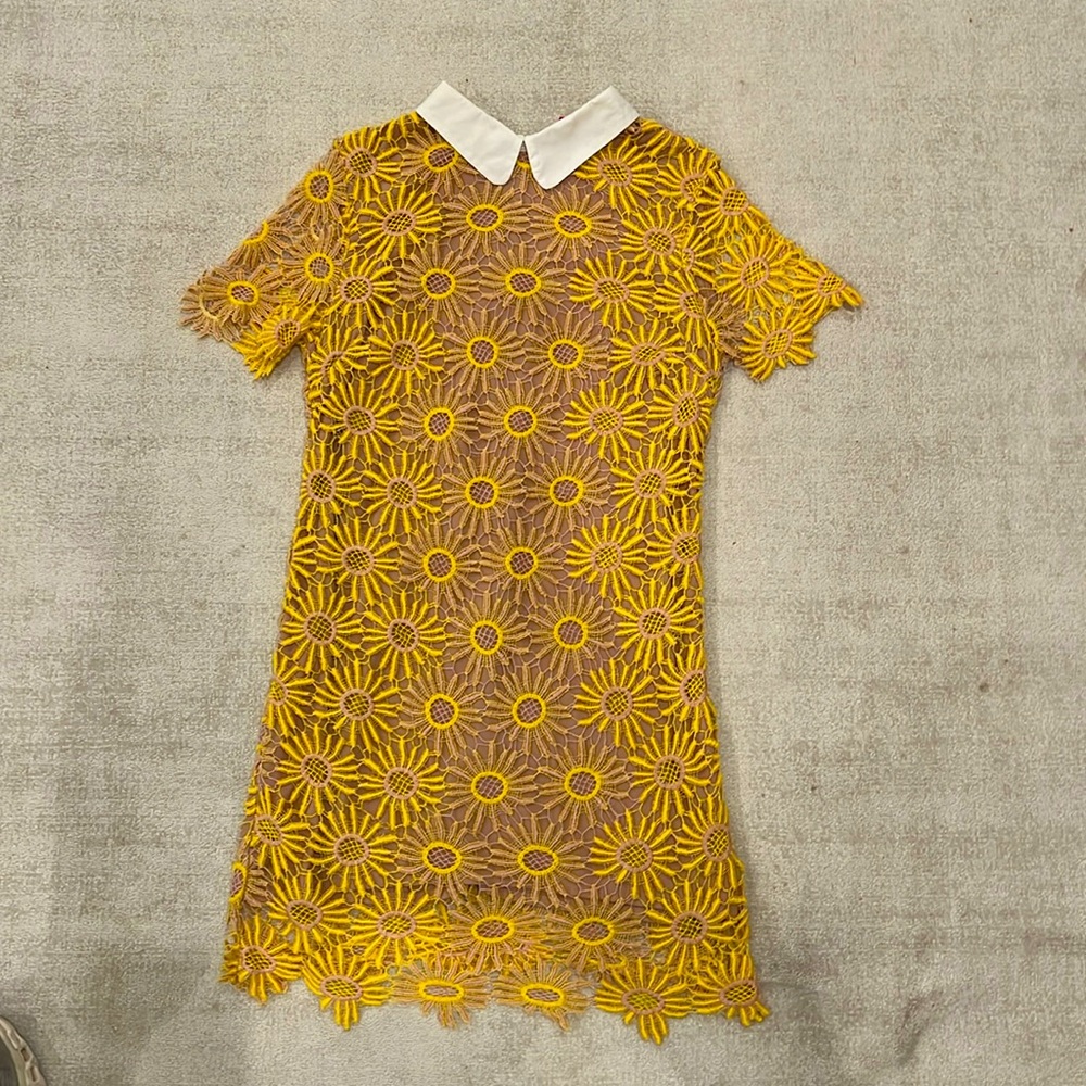 English Factory Lace Floral Dress with Collar